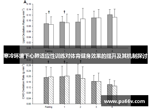寒冷环境下心肺适应性训练对体育健身效果的提升及其机制探讨