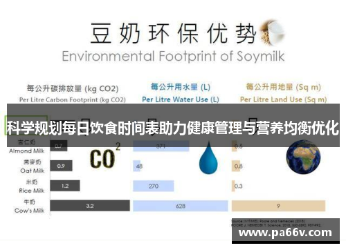 科学规划每日饮食时间表助力健康管理与营养均衡优化