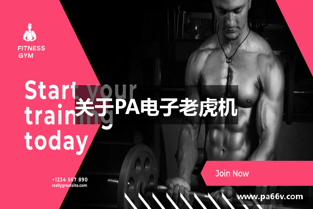 关于PA电子老虎机